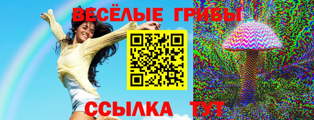 наркошоп  Вход с VPN  Азнакаево  Псилоцибиновые грибы Magic Shrooms 