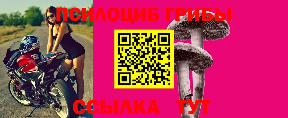 Псилоцибиновые грибы прущие грибы Азнакаево
